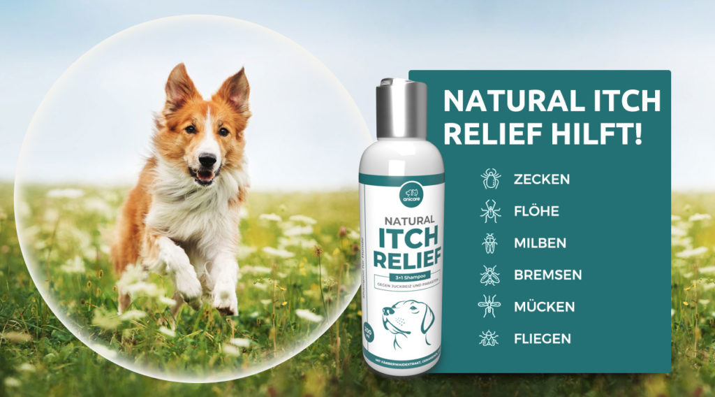 Natural Itch Relief